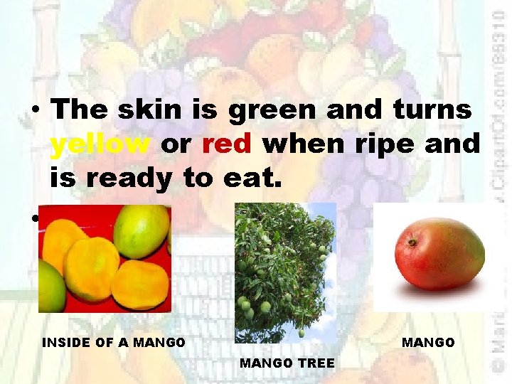  • The skin is green and turns yellow or red when ripe and