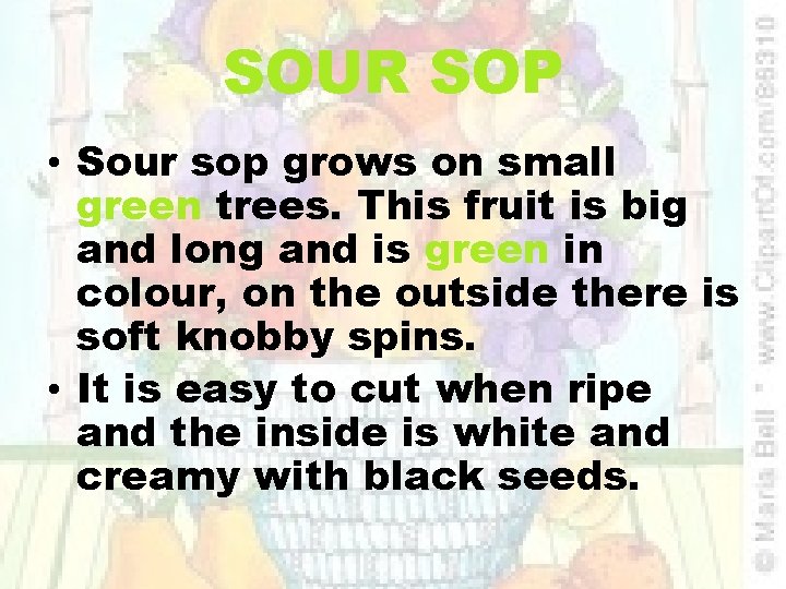 SOUR SOP • Sour sop grows on small green trees. This fruit is big