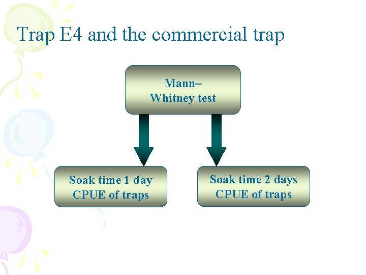 Trap E 4 and the commercial trap Mann– Whitney test Soak time 1 day