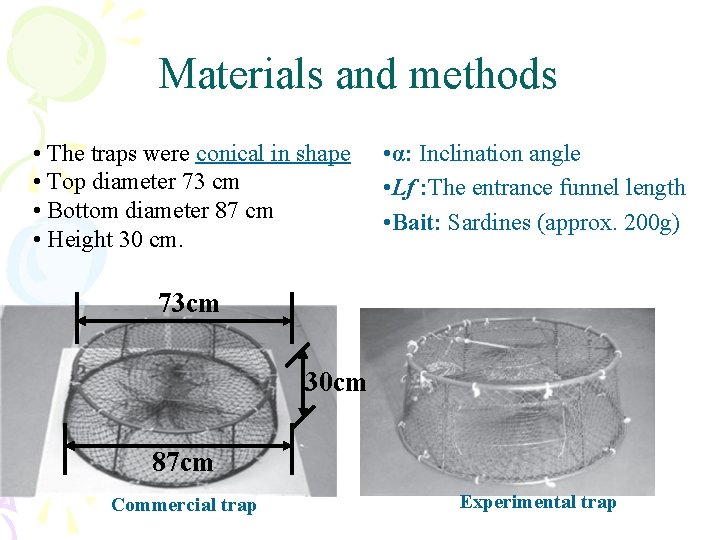 Materials and methods • The traps were conical in shape • Top diameter 73