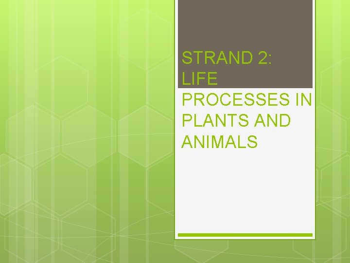 STRAND 2: LIFE PROCESSES IN PLANTS AND ANIMALS STRAND 2: LIFE PROCESSES IN PLANTS AND ANIMALS