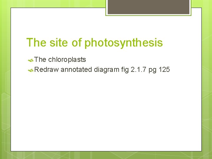 The site of photosynthesis The chloroplasts Redraw annotated diagram fig 2. 1. 7 pg The site of photosynthesis The chloroplasts Redraw annotated diagram fig 2. 1. 7 pg