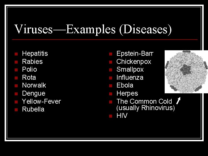 Pollio Examples Introduction to Viruses 0 5 m Nothey arent