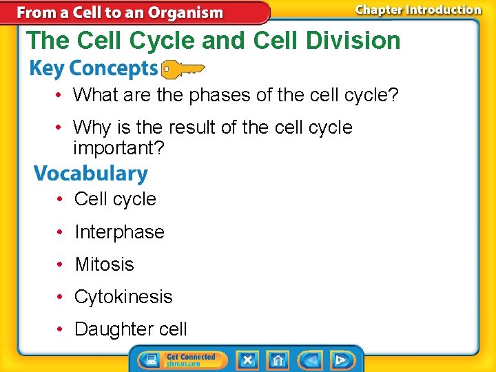 The Cell Cycle and Cell Division • What are the phases of the cell