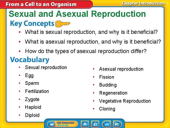 Sexual and Asexual Reproduction • What is sexual reproduction, and why is it beneficial?