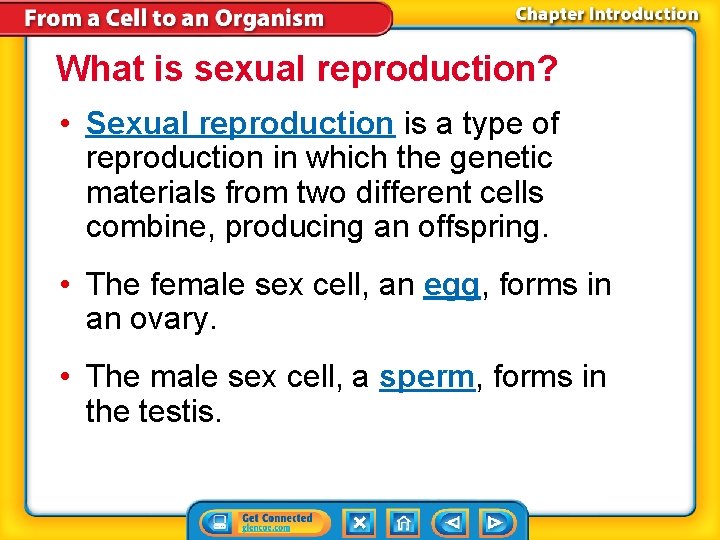 What is sexual reproduction? • Sexual reproduction is a type of reproduction in which