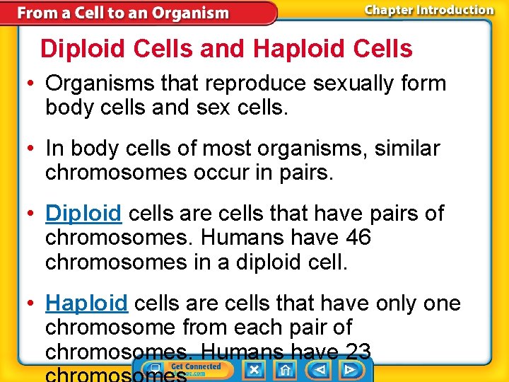 Diploid Cells and Haploid Cells • Organisms that reproduce sexually form body cells and