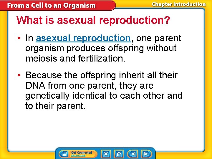 What is asexual reproduction? • In asexual reproduction, one parent organism produces offspring without