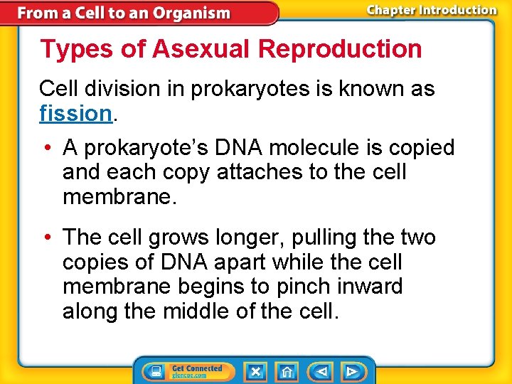 Types of Asexual Reproduction Cell division in prokaryotes is known as fission. • A