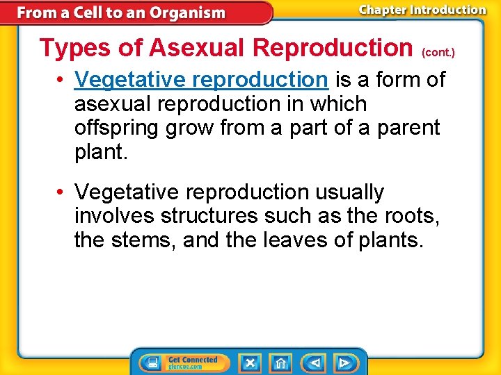 Types of Asexual Reproduction (cont. ) • Vegetative reproduction is a form of asexual