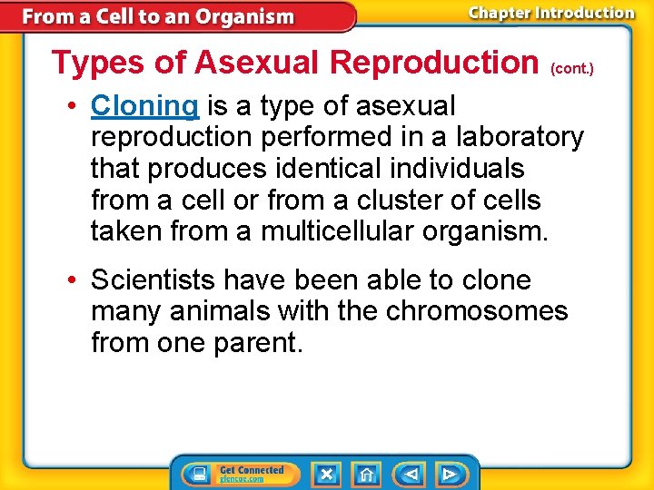 Types of Asexual Reproduction (cont. ) • Cloning is a type of asexual reproduction