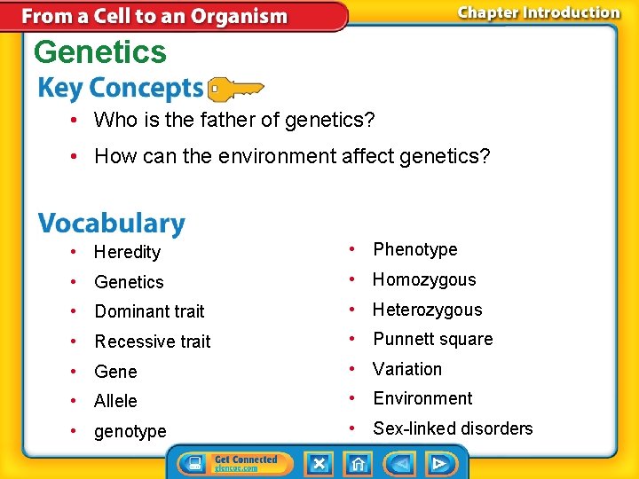 Genetics • Who is the father of genetics? • How can the environment affect