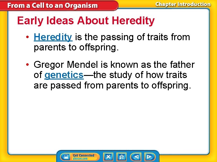 Early Ideas About Heredity • Heredity is the passing of traits from parents to