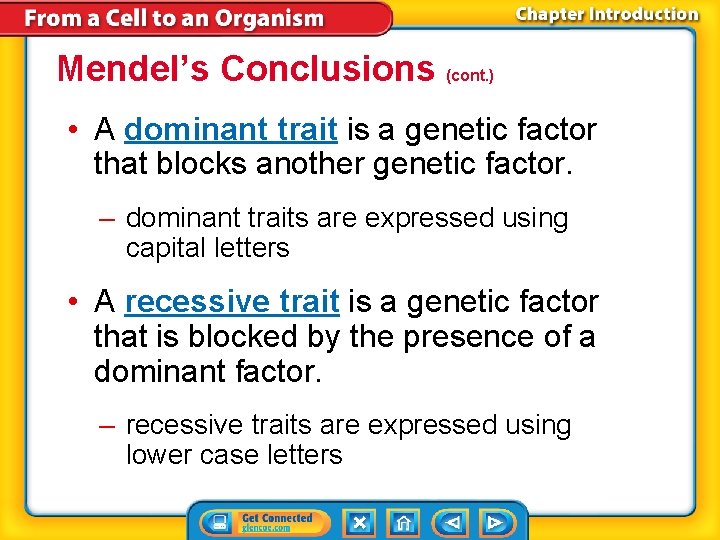 Mendel’s Conclusions (cont. ) • A dominant trait is a genetic factor that blocks