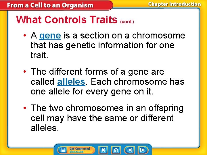 What Controls Traits (cont. ) • A gene is a section on a chromosome