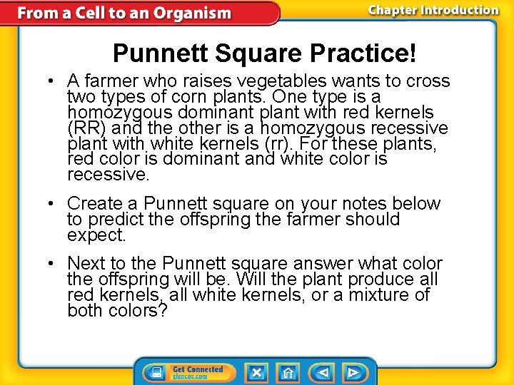 Punnett Square Practice! • A farmer who raises vegetables wants to cross two types