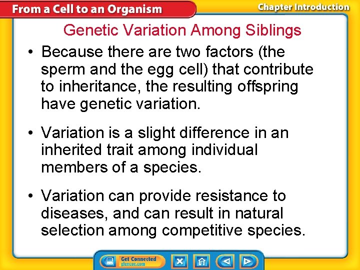 Genetic Variation Among Siblings • Because there are two factors (the sperm and the