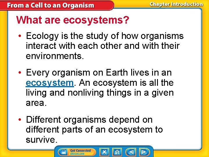 What are ecosystems? • Ecology is the study of how organisms interact with each