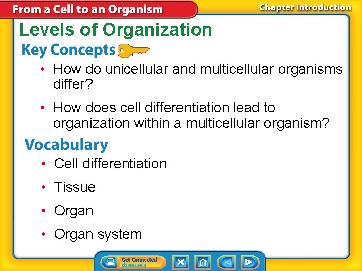 Levels of Organization • How do unicellular and multicellular organisms differ? • How does