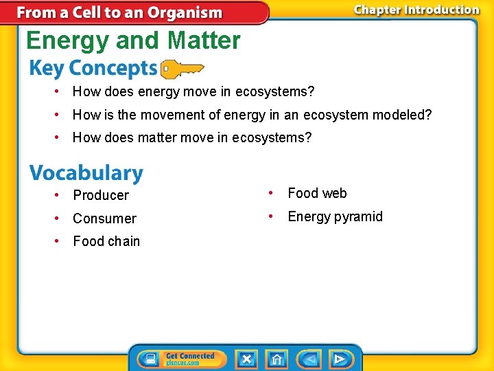 Energy and Matter • How does energy move in ecosystems? • How is the