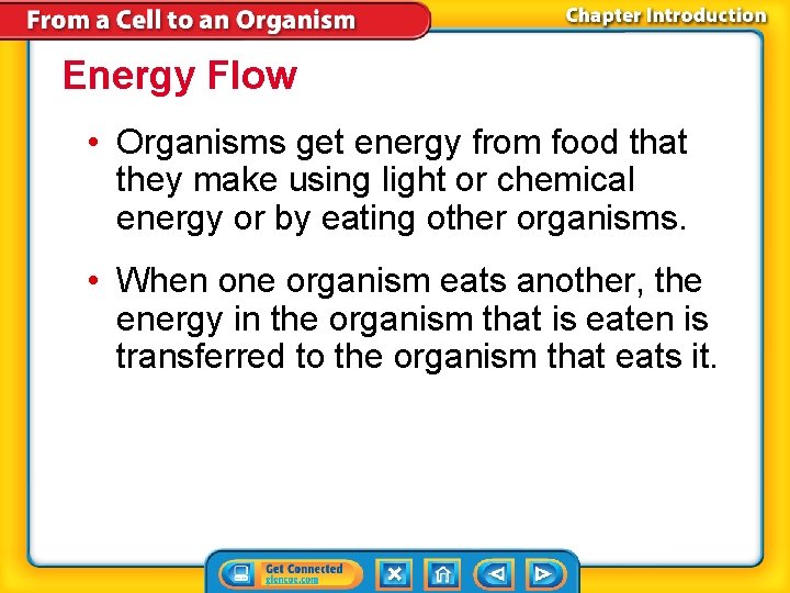 Energy Flow • Organisms get energy from food that they make using light or