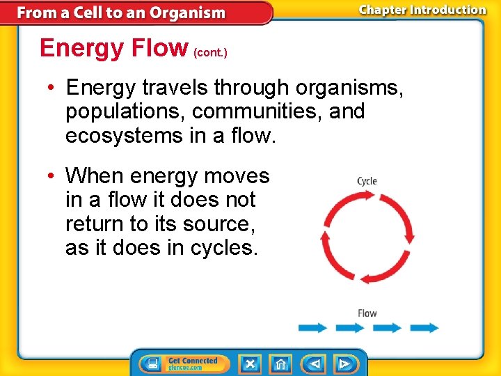 Energy Flow (cont. ) • Energy travels through organisms, populations, communities, and ecosystems in