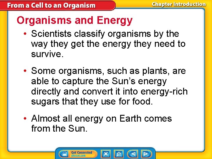 Organisms and Energy • Scientists classify organisms by the way they get the energy