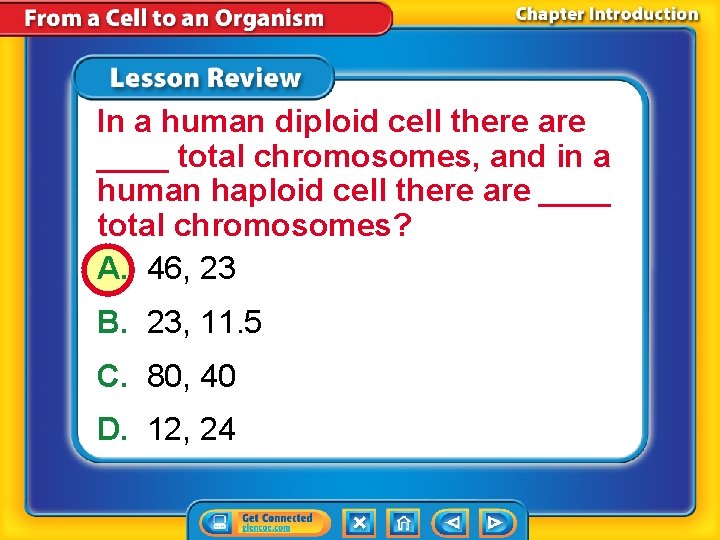 In a human diploid cell there are ____ total chromosomes, and in a human