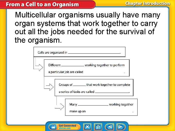 Multicellular organisms usually have many organ systems that work together to carry out all
