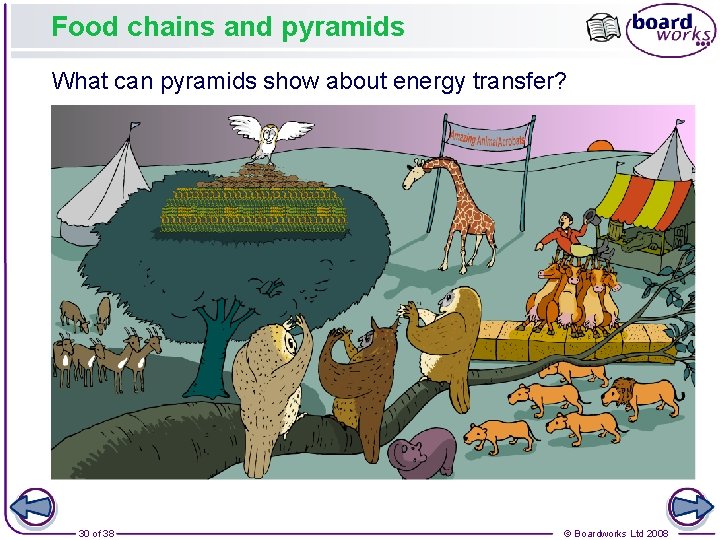 Food chains and pyramids What can pyramids show about energy transfer? 30 of 38