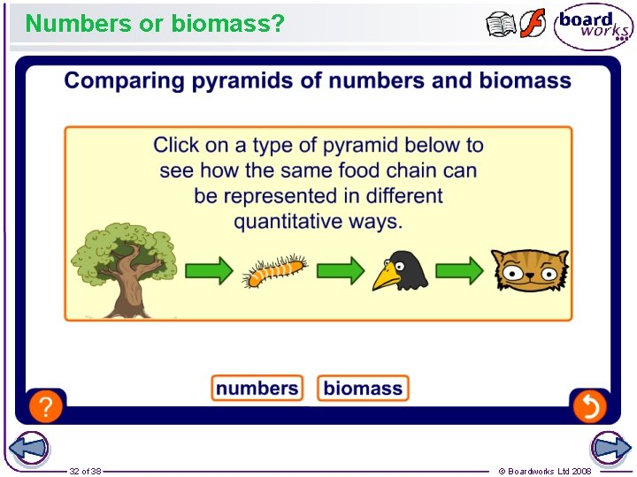 Numbers or biomass? 32 of 38 © Boardworks Ltd 2008 