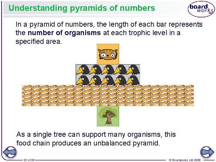 Understanding pyramids of numbers In a pyramid of numbers, the length of each bar