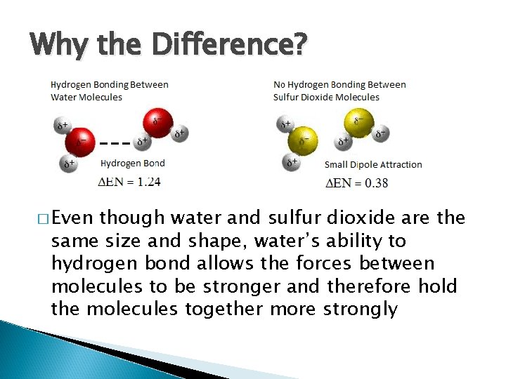 Why the Difference? � Even though water and sulfur dioxide are the same size