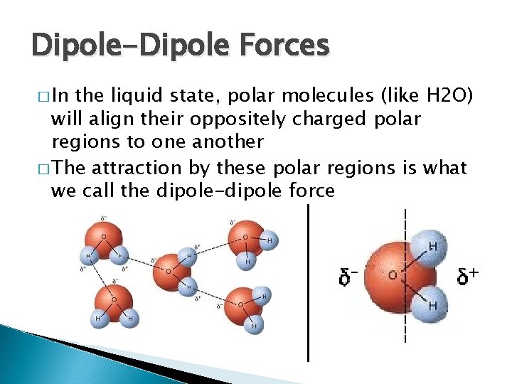 Dipole-Dipole Forces � In the liquid state, polar molecules (like H 2 O) will