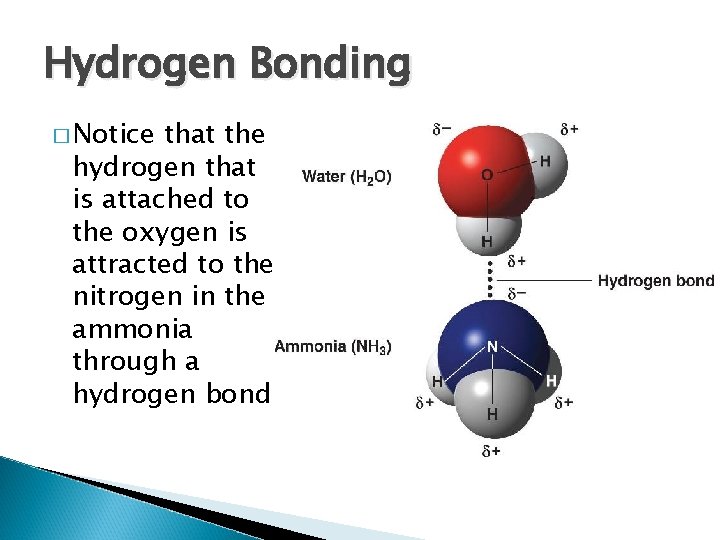 Hydrogen Bonding � Notice that the hydrogen that is attached to the oxygen is