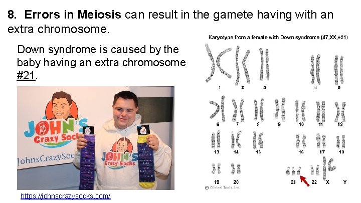 8. Errors in Meiosis can result in the gamete having with an extra chromosome.