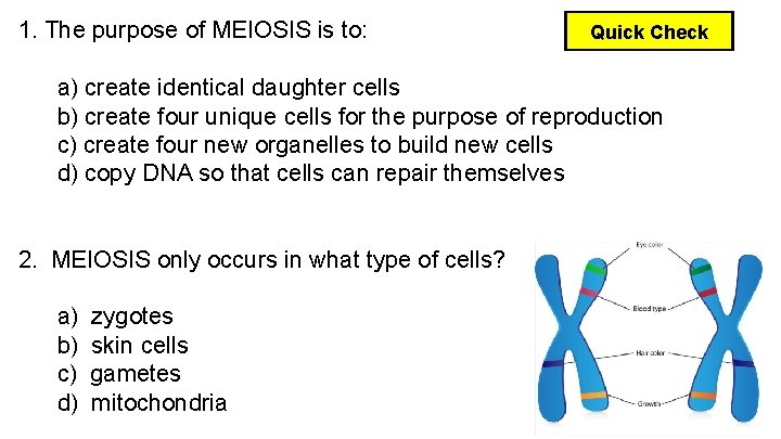 1. The purpose of MEIOSIS is to: Quick Check a) create identical daughter cells