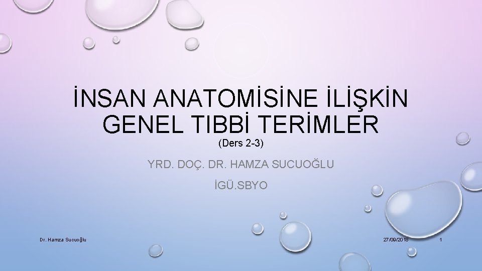 İNSAN ANATOMİSİNE İLİŞKİN GENEL TIBBİ TERİMLER (Ders 2 -3) YRD. DOÇ. DR. HAMZA SUCUOĞLU