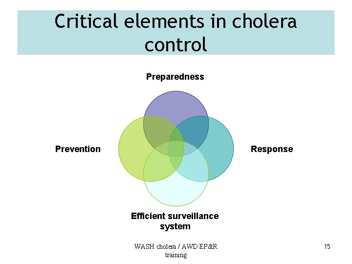 Critical elements in cholera control Preparedness Prevention Response Efficient surveillance system WASH cholera /