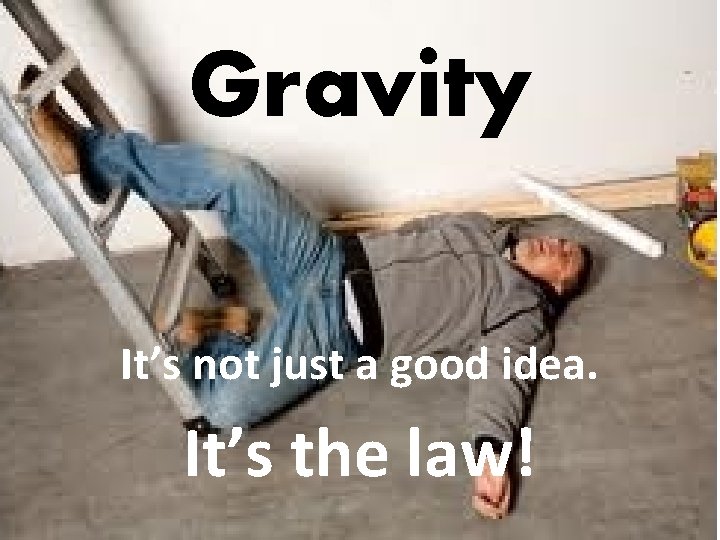 Gravity It’s not just a good idea. It’s the law! 
