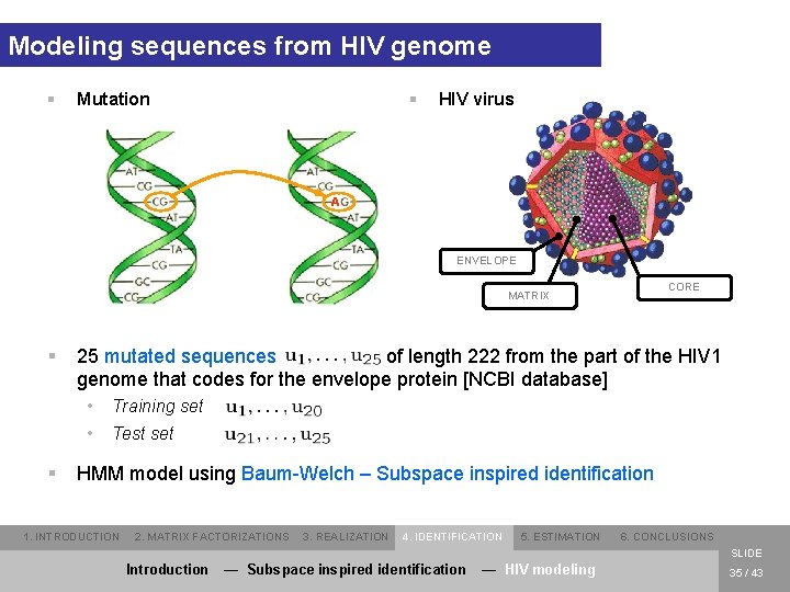 Modeling sequences from HIV genome § § Mutation HIV virus A ENVELOPE CORE MATRIX