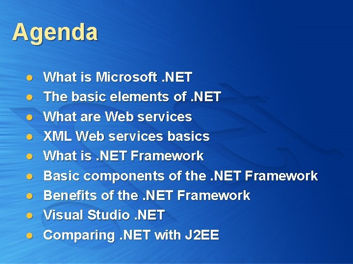 Agenda l l l l l What is Microsoft. NET The basic elements of.