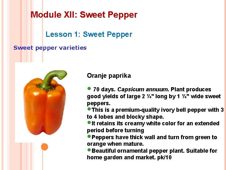 Module XII: Sweet Pepper Lesson 1: Sweet Pepper Sweet pepper varieties Oranje paprika •