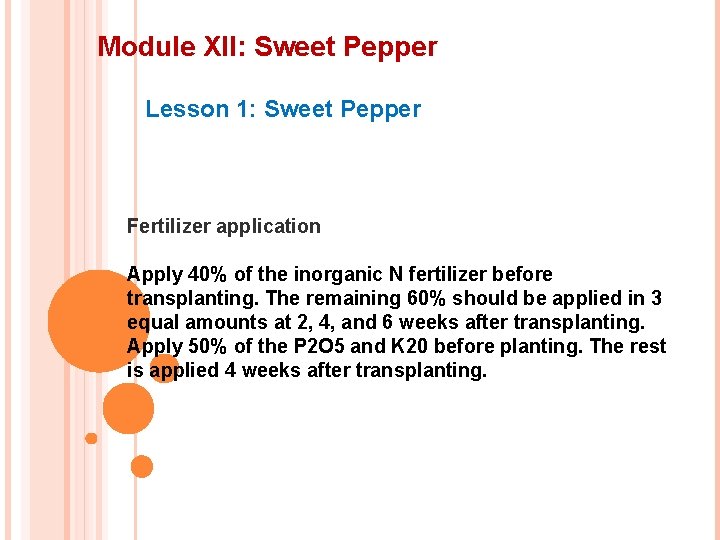 Module XII: Sweet Pepper Lesson 1: Sweet Pepper Fertilizer application Apply 40% of the