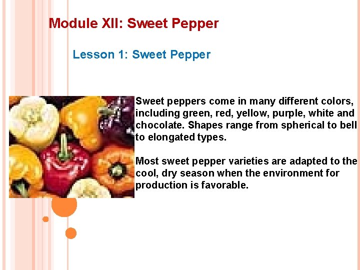 Module XII: Sweet Pepper Lesson 1: Sweet Pepper Sweet peppers come in many different