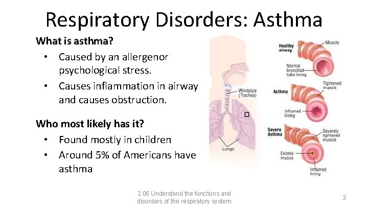 Respiratory Disorders: Asthma What is asthma? • Caused by an allergenor psychological stress. •