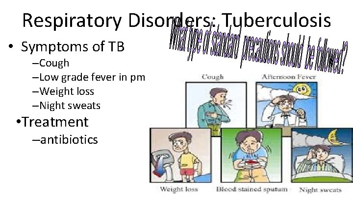Respiratory Disorders: Tuberculosis • Symptoms of TB –Cough –Low grade fever in pm –Weight