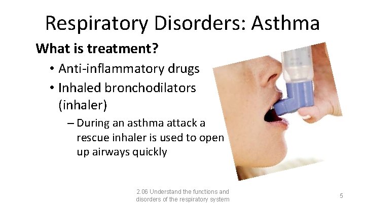 Respiratory Disorders: Asthma What is treatment? • Anti-inflammatory drugs • Inhaled bronchodilators (inhaler) –