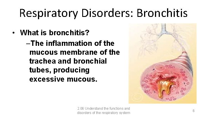 Respiratory Disorders: Bronchitis • What is bronchitis? –The inflammation of the mucous membrane of