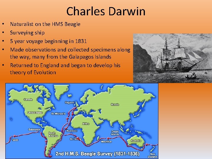 Charles Darwin Naturalist on the HMS Beagle Surveying ship 5 year voyage beginning in